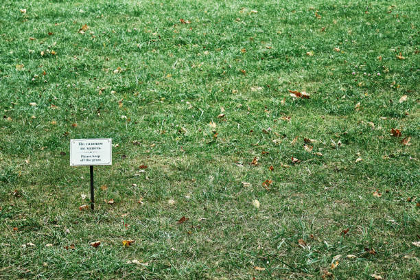istock Nameplate on empty green lawn with lush grass in park 1384263059