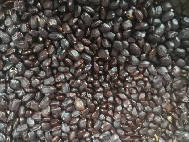 istock tamarind seeds piled up brown background 1384263482