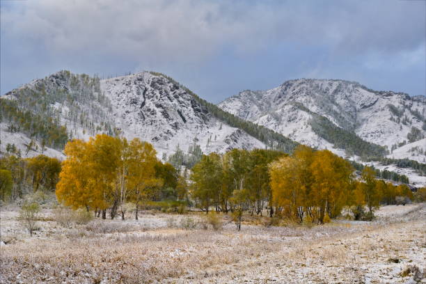 istock The first autumn snow in Altai 1384266752