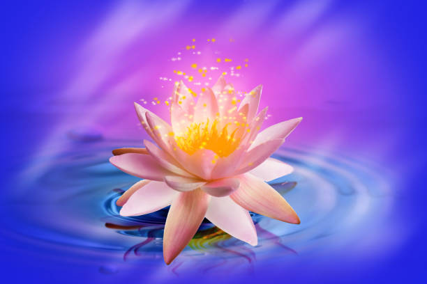 istock Fantastic lotus flower with sparks on water surface 1384268127