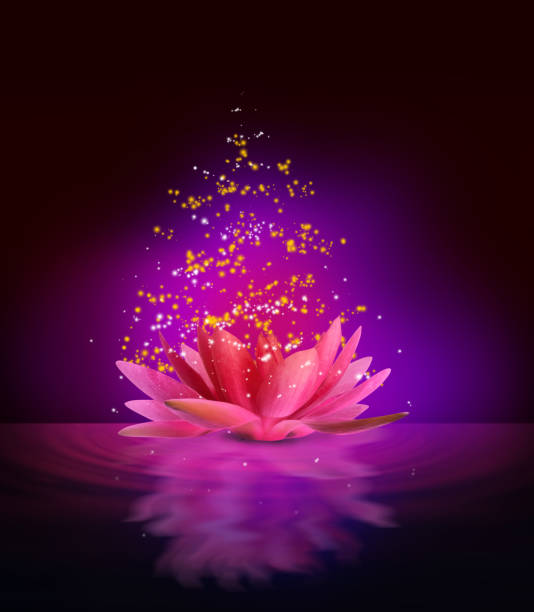 istock Fantastic lotus flower with sparks on water surface 1384268175