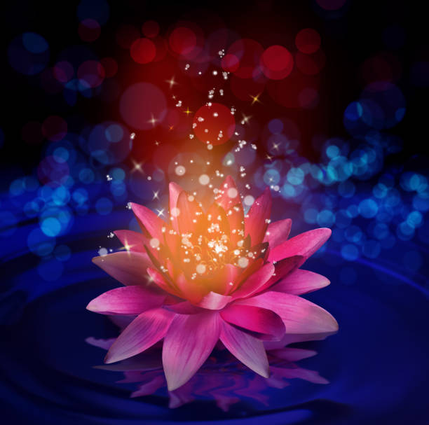 istock Fantastic lotus flower with sparks on water surface, bokeh effect 1384268211