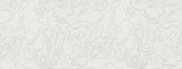 Topographic line contour map background, geographic grid map