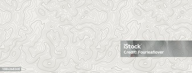 istock Topographic line contour map background, geographic grid map 1384268308