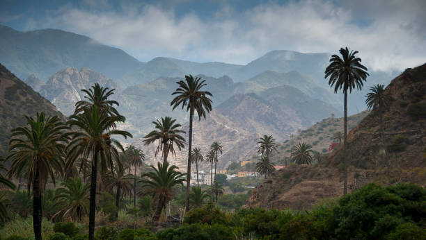 Trip to the Canary Island of La Gomera. stock photo