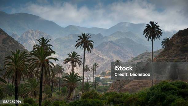 Trip To The Canary Island Of La Gomera Stock Photo - Download Image Now - Gomera - Canary Islands, Palm Tree, Canary Islands