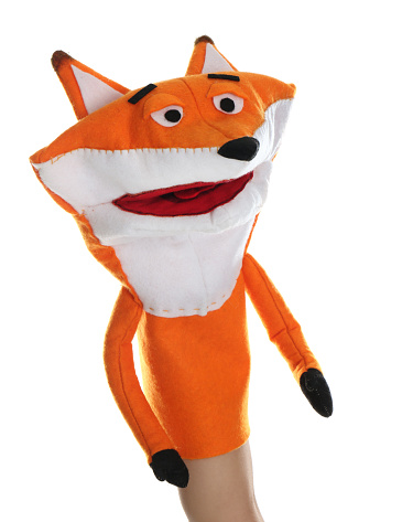 Fox puppet for show on hand against white background