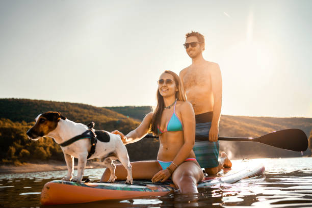 istock Adventurous young couple paddleboarding with their dog on a warm summer day 1384272920