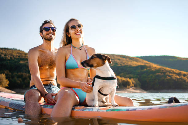 istock Adventurous young couple paddleboarding with their dog on a warm summer day 1384272924