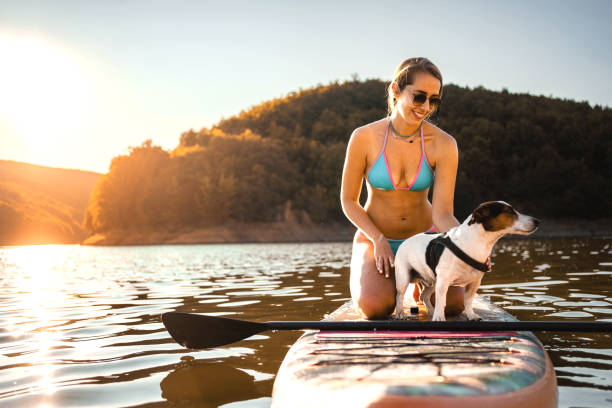 istock Young woman paddleboarding on warm summer day 1384272975