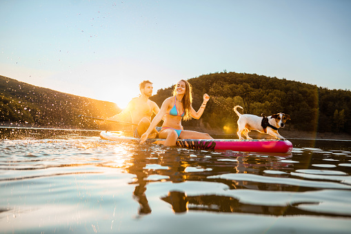 Adventurous young couple paddleboarding with their dog on a warm summer day
