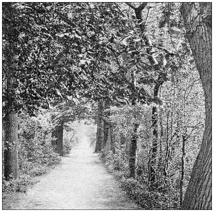 Antique travel photographs of England: Addison's Walk, Oxford