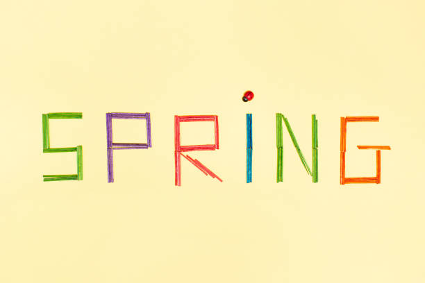 istock Spring letters on bright yellow background decorated with ladybug, colorful letter. Spring is coming, minimal  flat lay concept. 1384276389