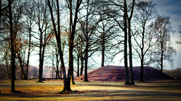 Viking Mounds 2 A morning view through a forest at Viking burial mounds near Tonsberg, Norway. burial mound photos stock pictures, royalty-free photos & images