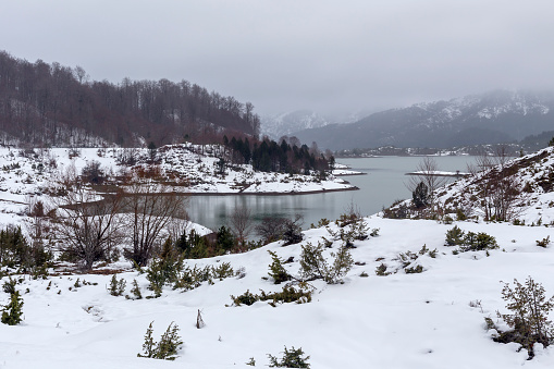 View of the picturesque, frozen lake of the springs of Aoos in the mountains (Epirus region, Greece) in winter on a cloudy day