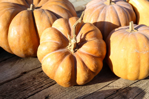 istock Many pumpkins close up on a wooden surface 1384281051