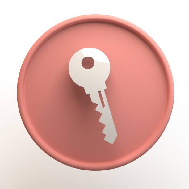 Security icon with key isolated on white background. App. 3D illustration.