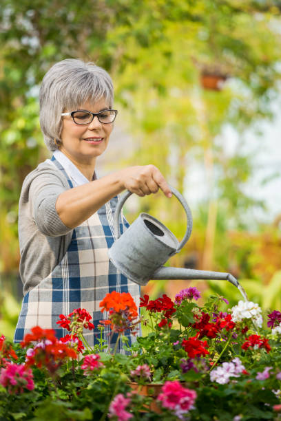 istock Mature woman watering flowers 1384284295
