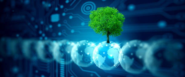 istock Crystal ball with tree against nature. Ecology, Energy, and Environment Concept. 1384284890