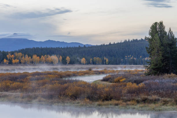 istock Scenic Landscape Reflection in the Tetons in Autumn 1384288217