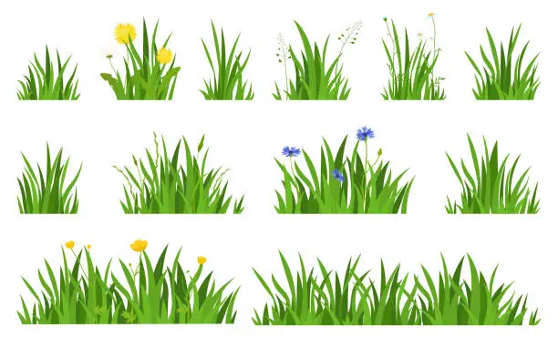 Vector illustration of Collection natural green grass with flowers horizontal background vector flat illustration