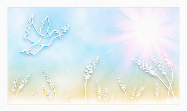 Background of peace with dove flying and nature with spikes. Illustrative religious background of peace and wholeness with silhouette of dove flying with olive branch with nature background with ears of wheat. hope god lighting technique tree stock pictures, royalty-free photos & images