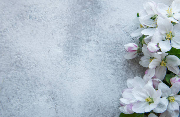 istock Blossom flowers on gray concrete backdrop. 1384295292