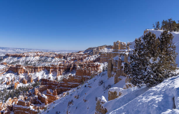istock Snow Covered Winter Landscape in Bryce Canyon National Park 1384304949