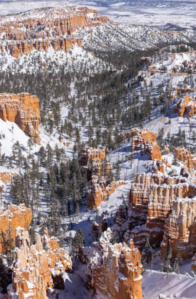 istock Snow Covered Winter Landscape in Bryce Canyon National Park 1384305131