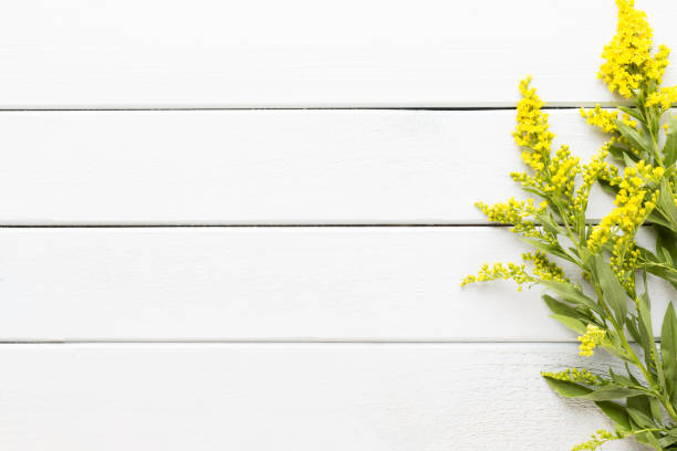 istock Beauty and aromatherapy concept with spa set on pastel rustic wooden background. 1384305402