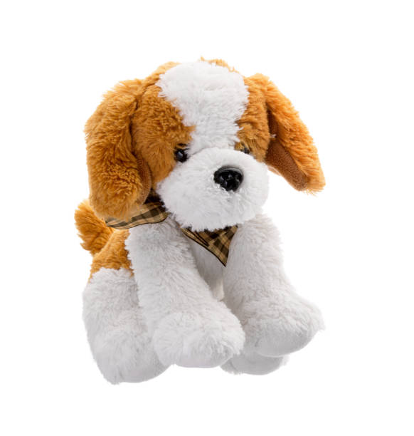 istock Puppy toy shot. 1384317683