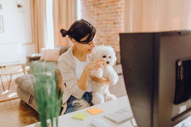 istock Young women work from home 1384319163