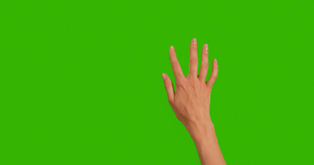 Gestures pack. Female hand touching, clicking, tapping, sliding, dragging and swiping on chroma key green screen background. Using a smartphone, tablet pc or a touchscreen.