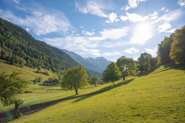 View from hiking near Cristallo mountain - Italy