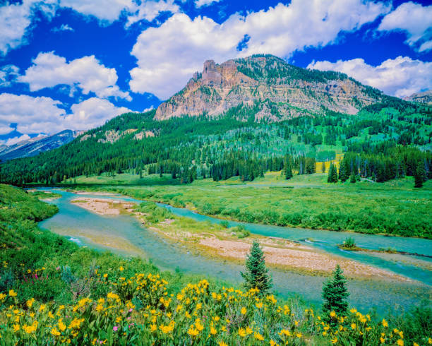 istock Springtime in the Rocky Mountains Wyoming 1384330337