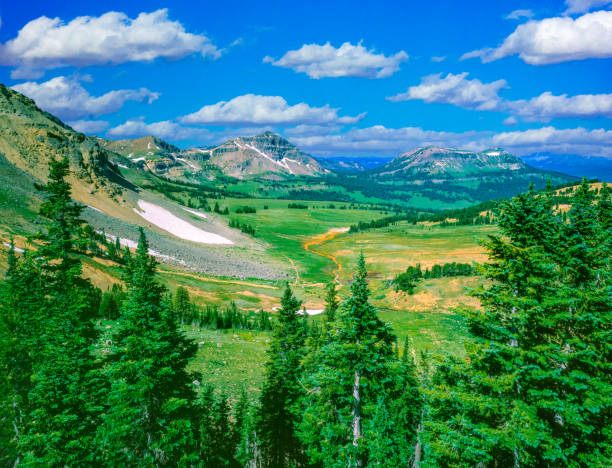Springtime in Flathead National Forest Wolverine Peak Abundance Basin Absaroka Range Montana. The forest lies primarily in Flathead County, south of Glacier National Park.