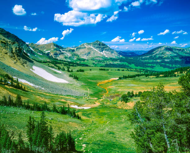 primavera nas montanhas rochosas, mt - flathead national forest - fotografias e filmes do acervo