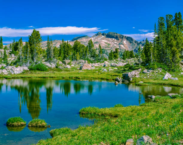istock Springtime in the Rocky Mountains, MT 1384330471