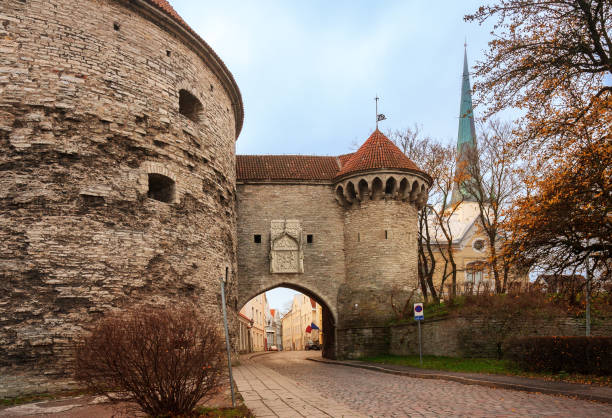 torre fat margaret - tallinn foto e immagini stock