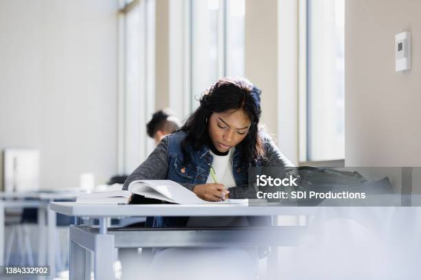 Focused Young Woman Stock Photo - Download Image Now - University Student, Learning, Studying