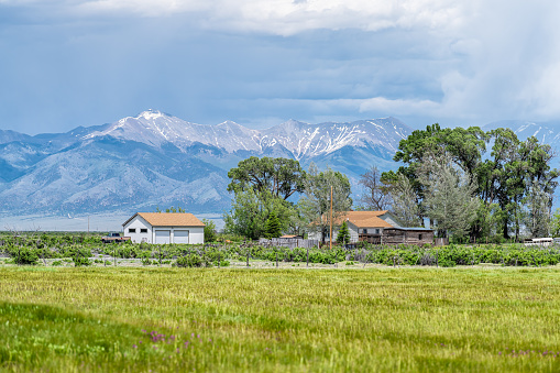 Center, Colorado route road 285 with rural farm pasture and wooden house near Monte Vista and view of Rocky Mountains