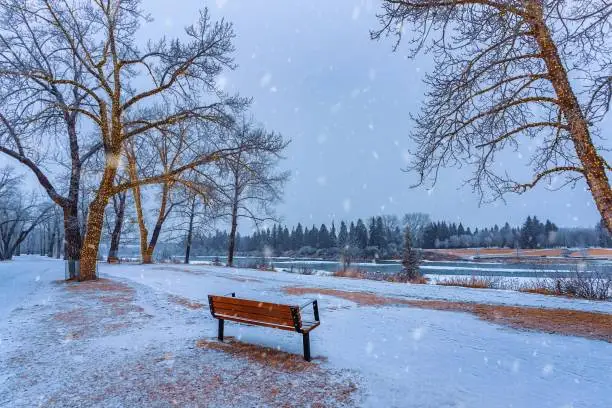 Photo of Snow Falling Over A Bench In A Winter Park