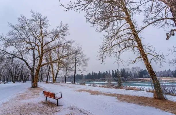 Photo of Bench In A Winter Park