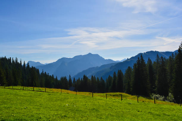 istock Mountains Sunshine Clouds Meadow with clouds and trees 1384347887