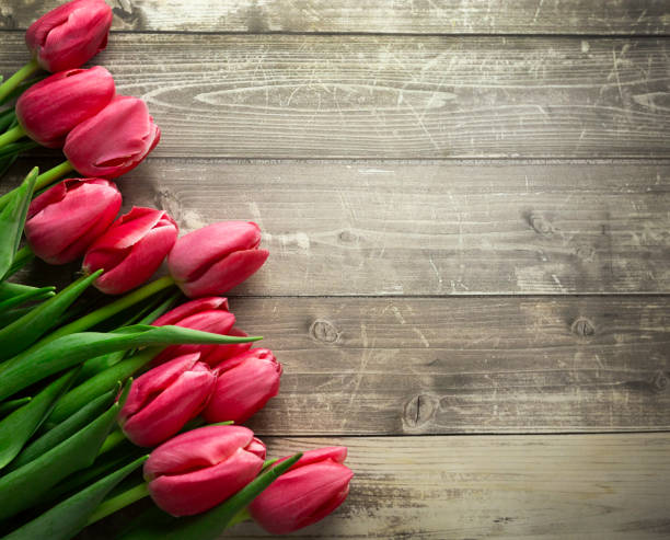 istock Spring tulips flowers on a old wooden background. 1384351003