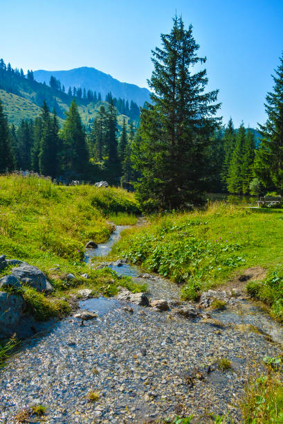 istock Meadow Summer Mountains with trees and creek 1384351067