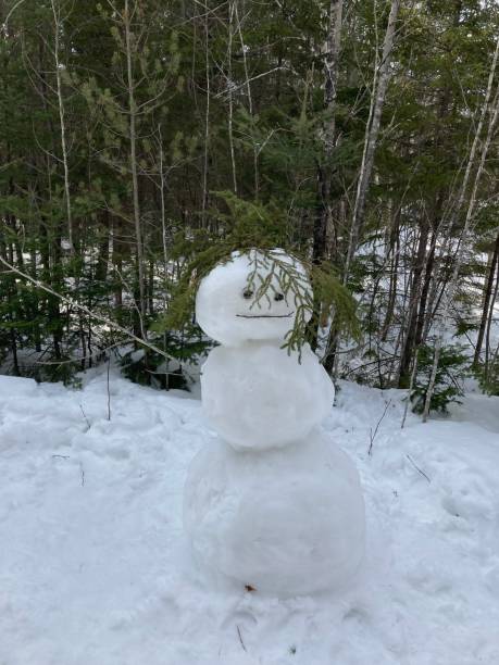 istock Large snowman in the woods. 1384357245