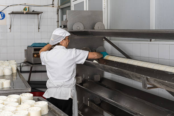 istock older female worker handling the machine that extracts the leftover whey from the fresh cheese moulds. 1384360339