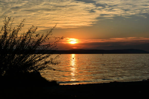 istock Sunset Sun Clouds Beach Grass Dune picture 1384363504