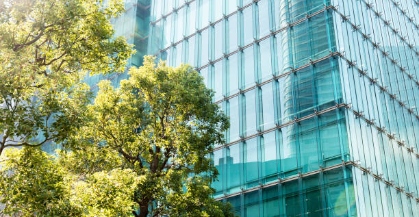 istock Sky and clouds reflected in a modern building glass facade 1384365022